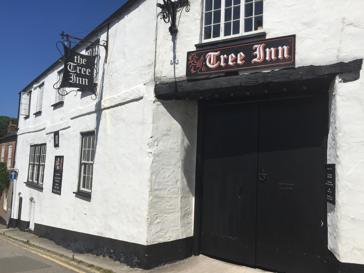 The Tree Inn Bude Luaran gambar